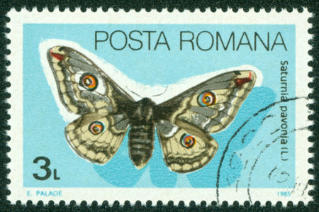 ROMANIA - CIRCA 1985  A stamp printed in Romania showing Emperor moth, circa 1985のeditorial素材