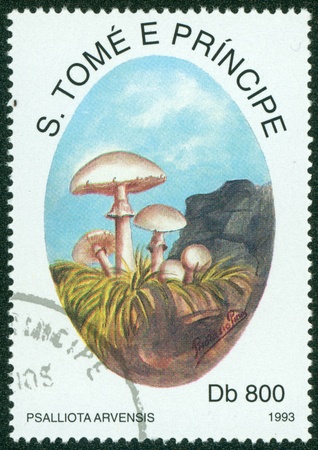 S TOME E PRINCIPE - CIRCA 1993  A stamp printed in S Tome E Principe shows mushrooms, circa 1993の写真素材