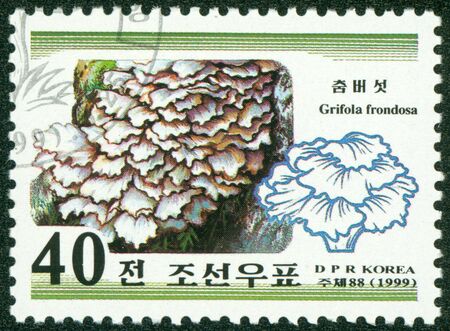 NORTH KOREA - CIRCA 1999  A stamp printed in North Korea, shows mushroom, circa 1999の写真素材