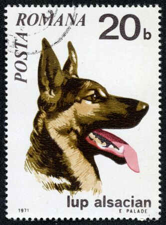 ROMANIA - CIRCA 1971  A stamp printed in Romania shows German Shepherd, circa 1971の写真素材