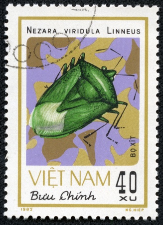 VIETNAM - CIRCA 1982  A stamp printed in VIETNAM shows nezara viridula linneus, circa 1982の写真素材
