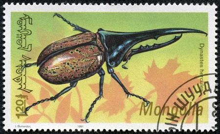 MONGOLIA - CIRCA 1991  A stamp printed by Mongolia, shows insect, circa 1991のeditorial素材