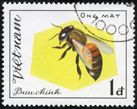 VIETNAM - CIRCA 1982  A stamp printed in Vietnam shows Aculeata, circa 1982のeditorial素材