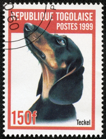 REP OF TOGO - CIRCA 1999  mail stamp printed in Togo shows a dog, circa 1999のeditorial素材