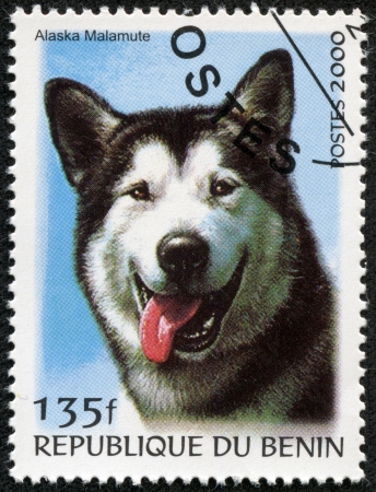 BENIN - CIRCA 2000  A stamp printed in BENIN,shows a dog, circa 2000のeditorial素材