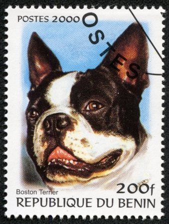 BENIN - CIRCA 2000  A stamp printed in BENIN,shows a dog, circa 2000のeditorial素材