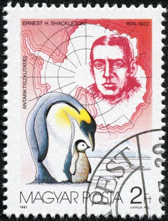 HUNGARY - CIRCA 1987  stamp printed by Hungary, shows Ernest H  Shackleton and Penguins, circa 1987のeditorial素材