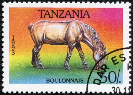 TANZANIA - CIRCA 1993  A stamp printed in Tanzania shows Bulon horse, circa 1993のeditorial素材
