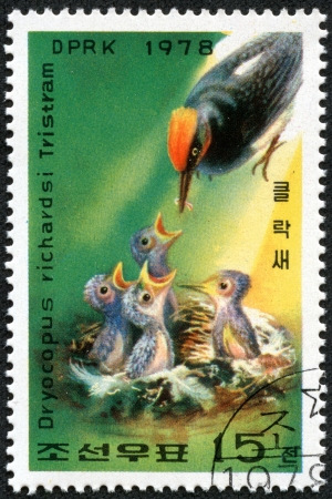 DPRK - CIRCA 1978  a stamp printed in DPRK, shows Woodpecker feeding young , series, circa 1978の写真素材