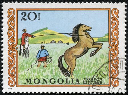 MONGOLIA - CIRCA 1976  A stamp printed in MONGOLIA shows a an unbroken horse bucks, series, circa 1976のeditorial素材