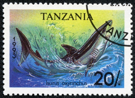 TANZANIA - CIRCA 1993  A stamp printed in Tanzania shows shortfin mako shark, Isurus oxyrinchus, circa 1993の写真素材
