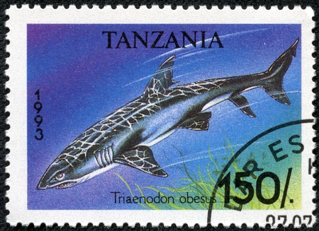 TANZANIA - CIRCA 1993  A stamp printed in Tanzania shows Whitetip reef shark, Triaenodon obesus, circa 1993のeditorial素材