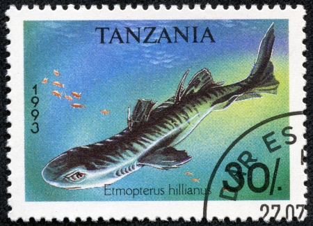TANZANIA - CIRCA 1993  A stamp printed in Tanzania shows Caribbean lanternshark, Etmopterus hillianus, circa 1993のeditorial素材