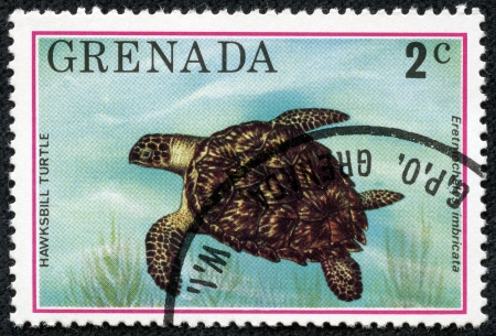 GRENADA - CIRCA 1976  A stamp printed in Grenada shows Hawksbill turtle - Eretmochelys imbricata, circa 1976の写真素材