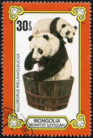MONGOLIA - CIRCA 1977  A stamp printed in Mongolia shows the female and baby panda in a washtub, series, circa 1977の写真素材