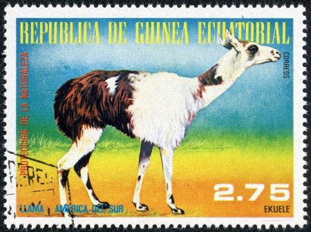GUINEA - CIRCA 1976  A stamp printed by GUINEA shows leopard, series animals, circa 1976の写真素材