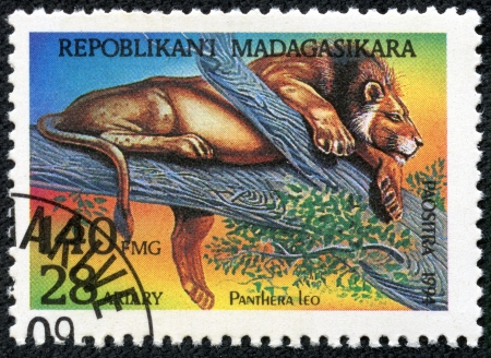MADAGASCAR CIRCA 1994  stamp printed by Madagascar, shows Lion, circa 1994の写真素材