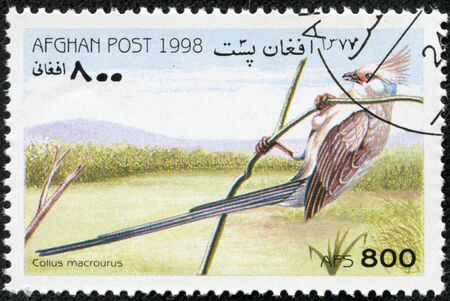 AFGHAN - CIRCA 1998  A stamp printed in Afghan shows Colius macrourus, circa 1998の写真素材
