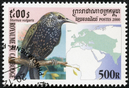 CAMBODIA - CIRCA 2000  A stamp printed Cambodia shows bird sturnus vulgaris , circa 2000のeditorial素材
