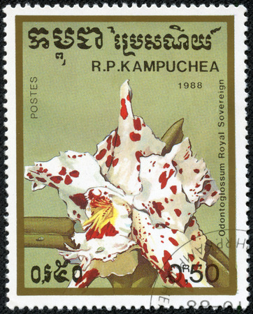 KAMPUCHEA - CIRCA 1988  A stamp printed in Kampuchea from the  Orchids   issue shows Odontoglossum Royal Sovereign, circa 1988 のeditorial素材