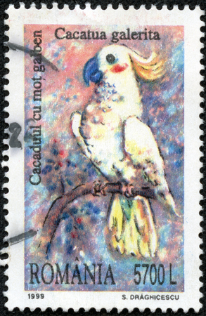 ROMANIA - CIRCA 1999  A stamp printed in the Romania, shows the Sulphur-crested Cockatoo,  Cacatua galerita , circa 1999のeditorial素材
