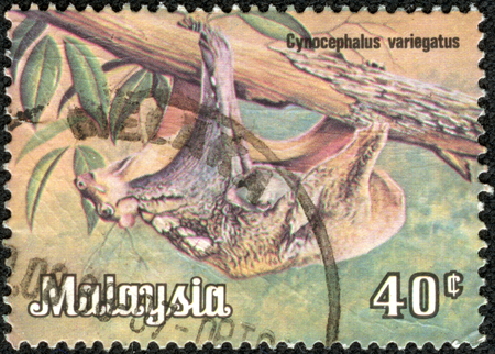 MALAYSIA - CIRCA 1979  A postage stamp printed in Malaysia shows the Sunda flying lemur  Galeopterus variegatus , circa 1979のeditorial素材