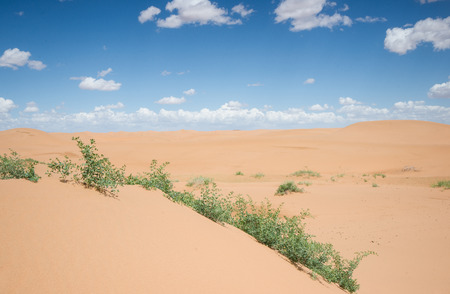Tengger desert scenery,Inner Mongolia, Chinaの写真素材