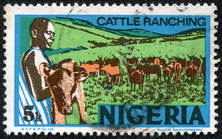 NIGERIA - CIRCA 1973: stamp printed by Nigeria, shows young nigerian, holding a calf, cattle ranching, circa 1973のeditorial素材
