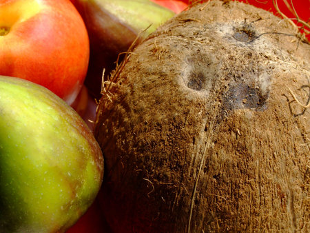 Close-up of fresh mixed fruit: coconut, peaches and figsの写真素材