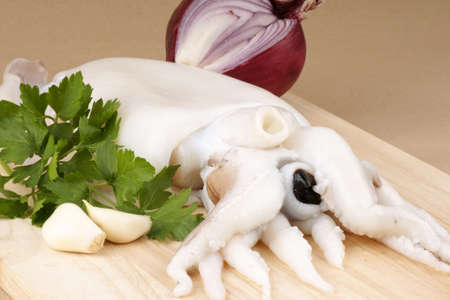 Raw cuttlefish on a wooden cutting board with red onion, persil and garlic.の写真素材