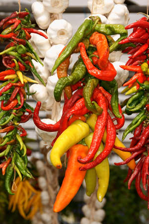 Colorful chili peppers ang garlic on sale at a market stallの写真素材