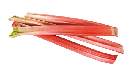 rhubarb stemsの写真素材