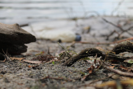 dirty lakeの写真素材