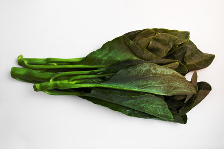 Chinese Kale on white background with clipping path. Asia, Thailand.の写真素材