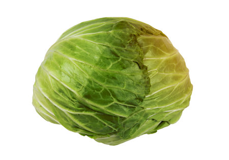 Cabbage on white background with clipping.の写真素材