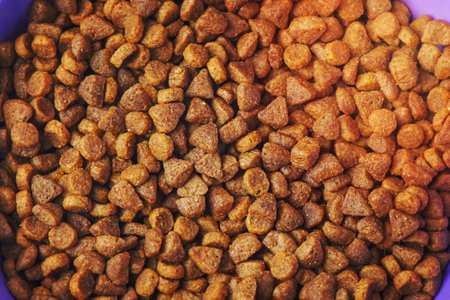 Balanced nutrition for animals and pets. Dry dog food close up macro photo.の写真素材
