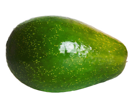 Avocado isolated on white. Vegetarianism veganism healthy food. Diet.の写真素材