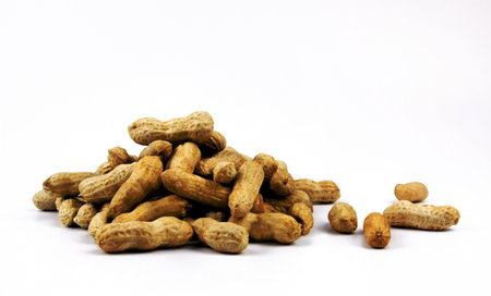 Peanuts top view on white background.の写真素材