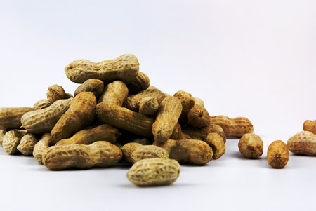 Peanuts top view on white background.の写真素材