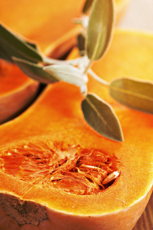 Cut butternut squash with fresh sage leavesの写真素材