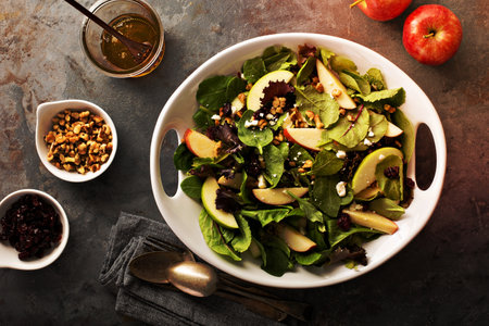 Fall salad with spring mix, apple, nuts and cranberryの写真素材
