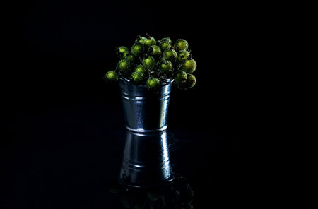 aluminum ice bucket laid in wait for use. stainless multi-colored buckets with reflection, black background isolated, with green blue berries in iceの写真素材