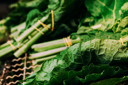 Green lettuce salad leaves on a market stall.の写真素材