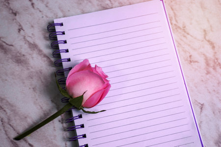 Lined notebook with flowers around it on marble table.の写真素材