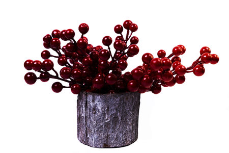 A close up shot of wooden vase with red viburnum rowan . The porcelain vase has fluted surface. The vase with a bunch is isolated against the white background. Bright reminding of season.の写真素材