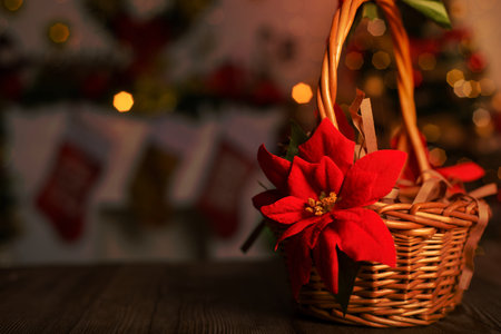 Wicker basket decorated with poinsettia on wooden table and Christmas background.の写真素材