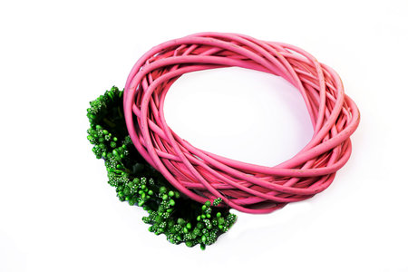 Wreath woven from the branches of the vine isolated red white blue pink brown vine wreath with flowers fruits rowanの写真素材