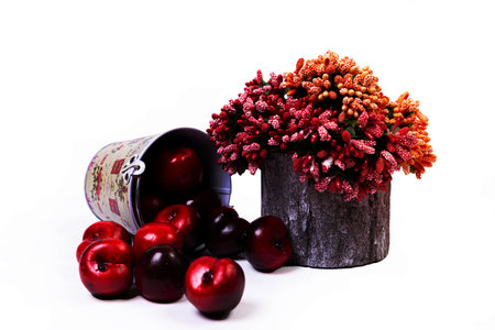 A close up shot of wooden vase with red and white flowers and apples . The porcelain vase has fluted surface. The vase with a bunch is isolated against the white background. Bright reminding of seasonの写真素材