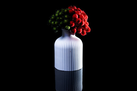 A close up shot of green and red berries in ice in a white vase. The porcelain vase has fluted surface. The vase with a bunch is isolated against the black background. Bright reminding of season.の写真素材