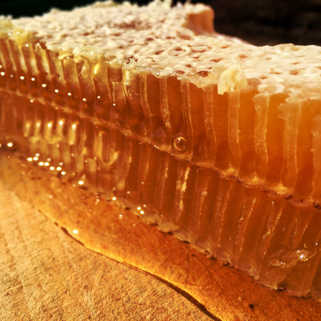 Background texture, dropping drops of sweet honey, nectar in mead. Honey macro photography consisting of gold beeswax, yellow meads bee honeycomb from beehive. Eat honeys drips from bees honeycombs.の写真素材